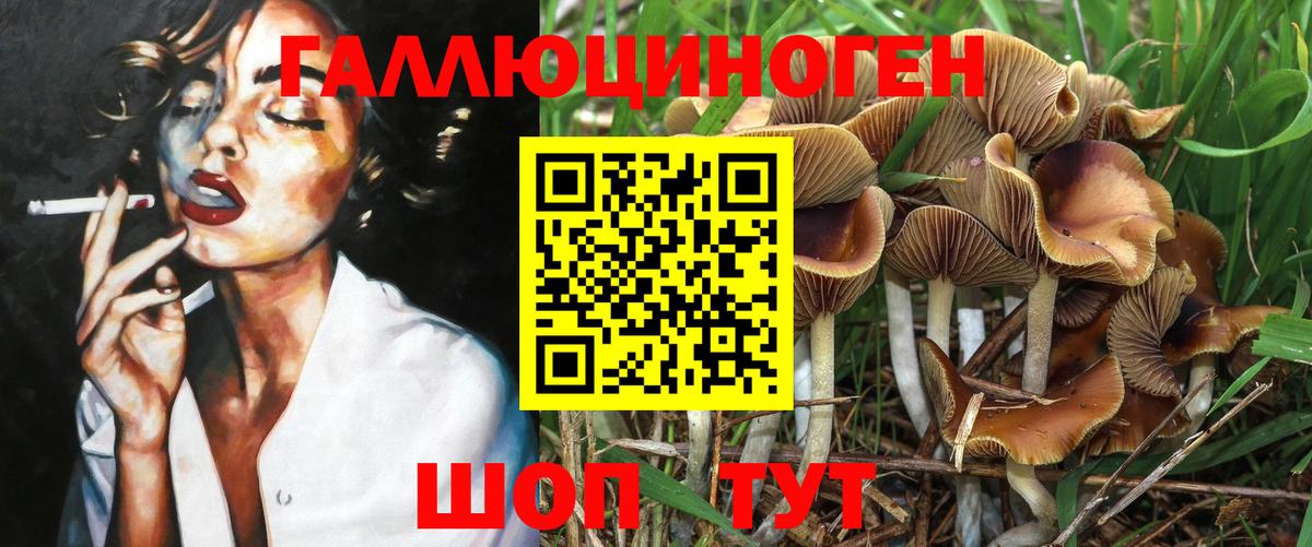 Скопин  Галлюциногенные грибы мицелий  Вход с VPN  Галлюциногенные грибы Psilocybe 